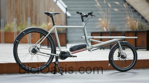 Omnium E-Cargo opinión y ficha técnica